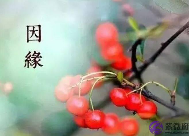 婚姻八字看婚姻，八字看中年后才能有幸福婚姻的女命