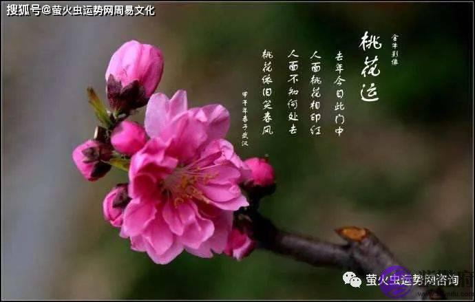 红艳和咸池哪个厉害？红艳和咸池查法口诀