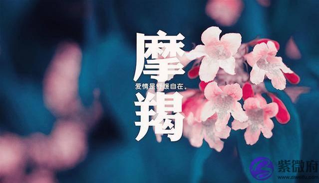 当桃花运来临时，十二星座都是如何反应的？