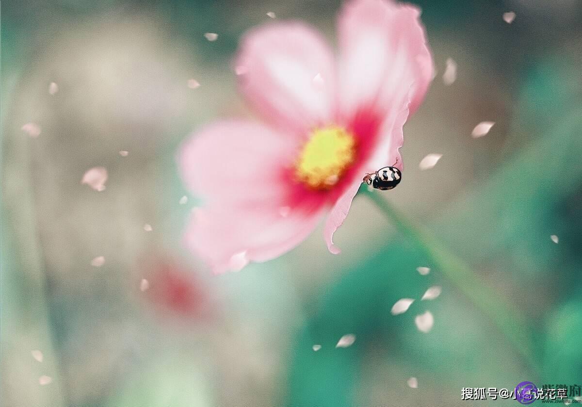 最能绝处逢生的三大星座，实力很强，没有什麽事能难倒他们