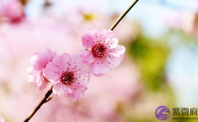 年过半百,男人还走桃花运,是有原因的