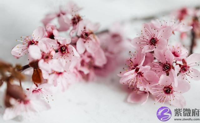 年过半百,男人还走桃花运,是有原因的