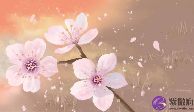 年过半百,男人还走桃花运,是有原因的