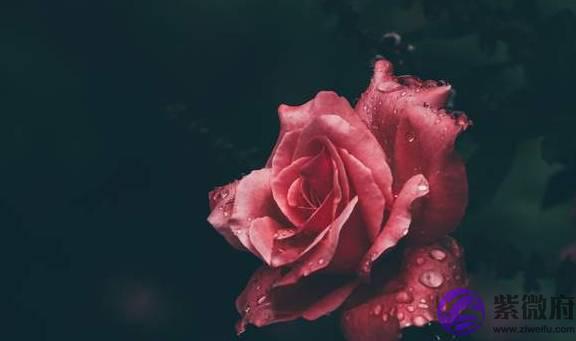 女人,想走桃花运,这三件事情要少做