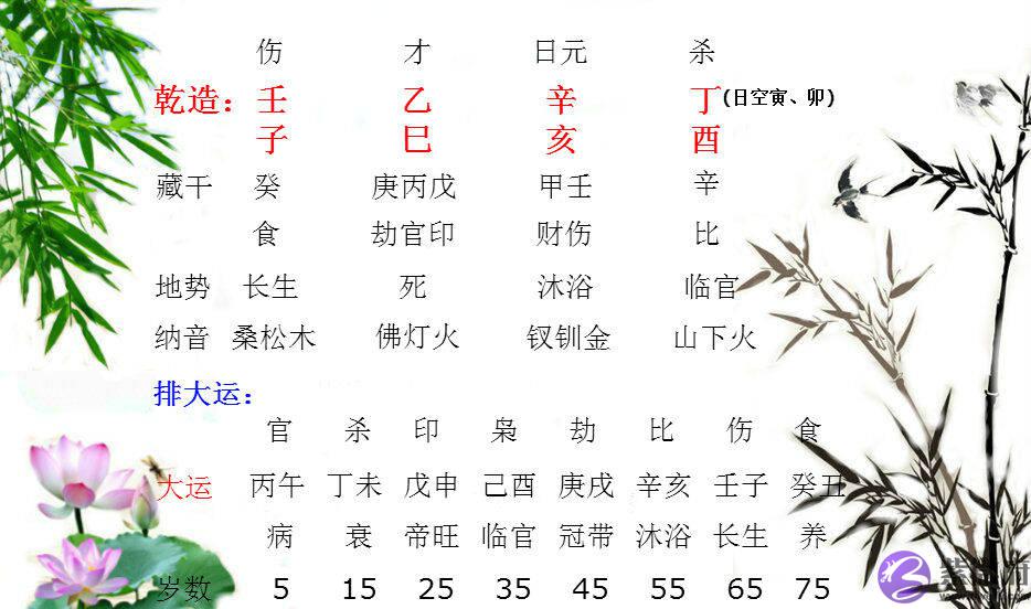 自坐沐浴桃花之地，临驿马相冲形成伤管见管的生辰!