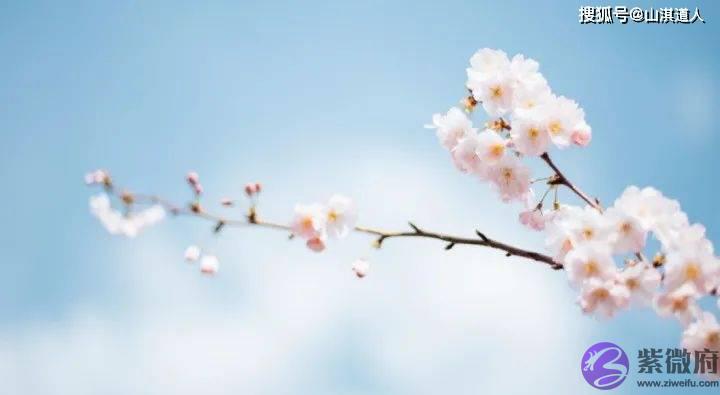 如何区别正桃花与烂桃花?