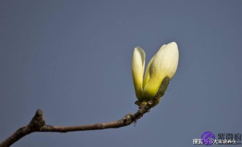 7月初，怎麽看都看不腻，异性缘超好！越长越好看的4大生肖