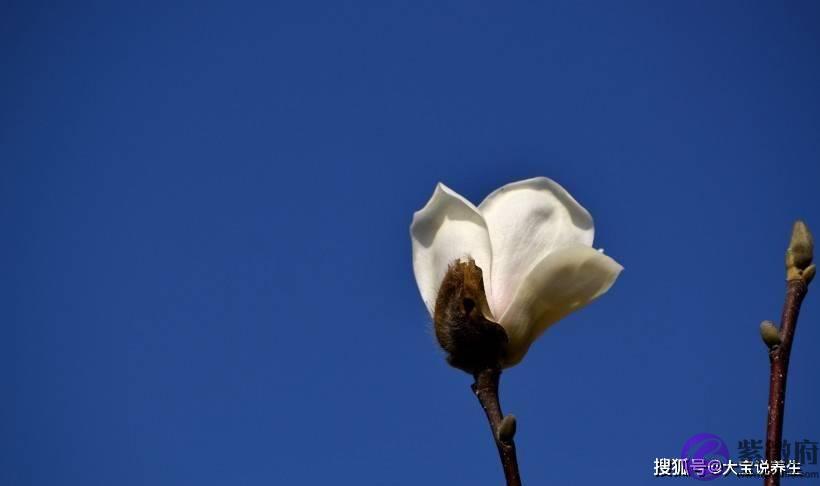 7月初，怎麽看都看不腻，异性缘超好！越长越好看的4大生肖