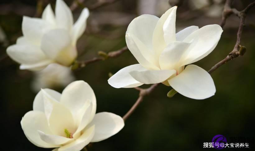 7月初，怎麽看都看不腻，异性缘超好！越长越好看的4大生肖