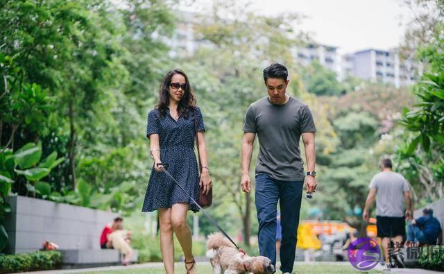 爱情不是利益交换，而是男女双方内心需求的互相满足