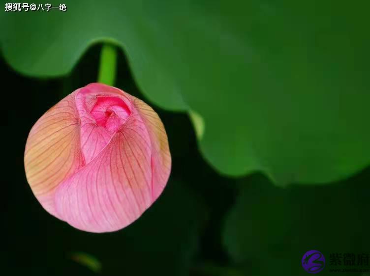 婚姻生辰看婚姻,你婚姻会好吗?夫妻如何相处才能,厮守终身?