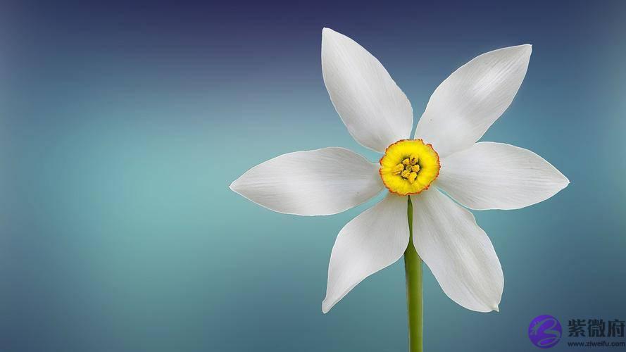 生辰生辰详细分析：身旺财星不现，必然求财较为辛苦的命