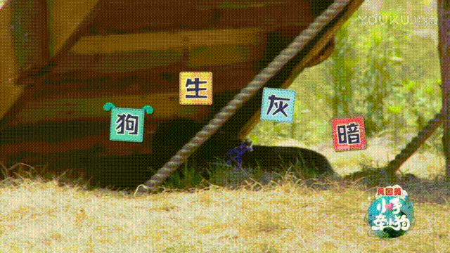 这枚萌男娃竟自称是“女人性格”！他和萌宠的日常超高萌啊