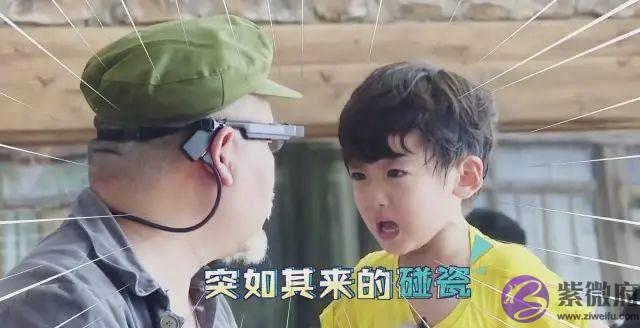 这枚萌男娃竟自称是“女人性格”！他和萌宠的日常超高萌啊