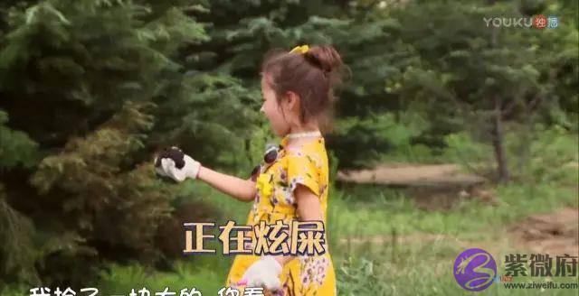 这枚萌男娃竟自称是“女人性格”！他和萌宠的日常超高萌啊