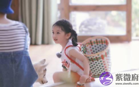 这枚萌男娃竟自称是“女人性格”！他和萌宠的日常超高萌啊