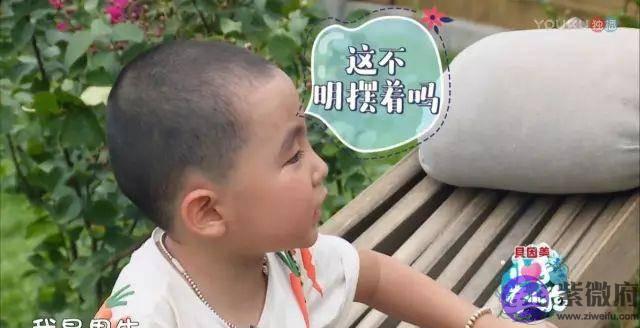 这枚萌男娃竟自称是“女人性格”！他和萌宠的日常超高萌啊