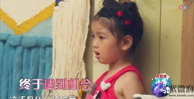 这枚萌男娃竟自称是“女人性格”！他和萌宠的日常超高萌啊