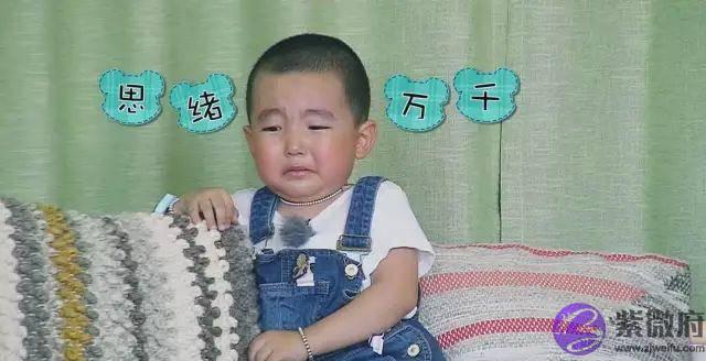这枚萌男娃竟自称是“女人性格”！他和萌宠的日常超高萌啊