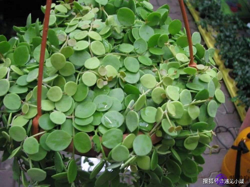 婚外情里，当对方出现这个“信号”，记得转身离开
