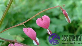 婚外情里，男人的“矫情”都是你惯的