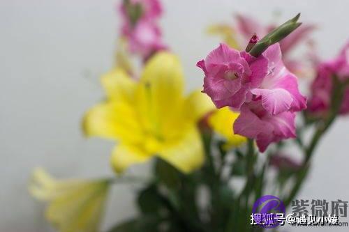 婚外情里，男人的“矫情”都是你惯的