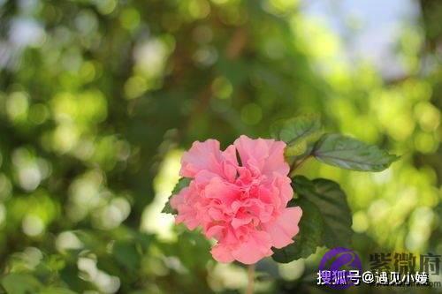 婚外情里，男人的“矫情”都是你惯的