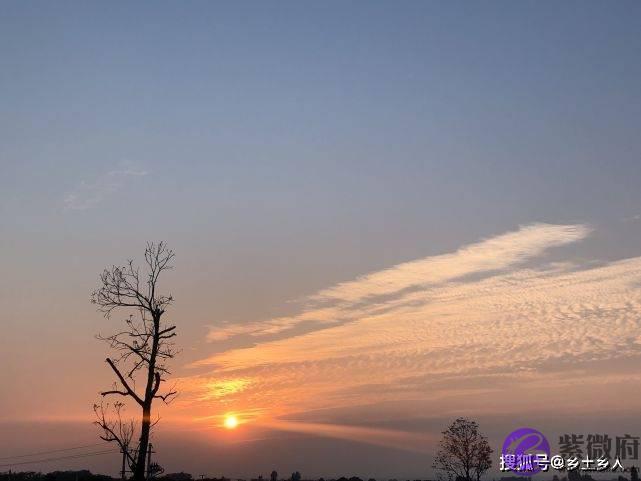 “六月无三未，遍地起新坟”，啥意思？六月太阳在鹑火，有啥特点