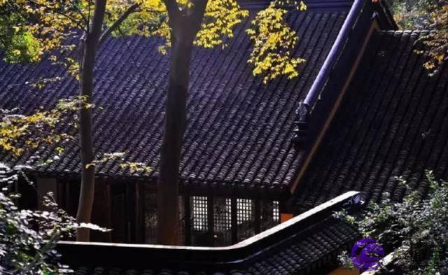 俗语：“七年难逢九月闰，百年难逢初一春”，2020年是闰哪个月？