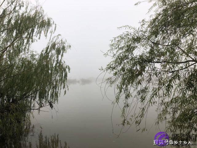 明日六月初一，俗语：“雨打六月头，地收人不收”，是啥意思？