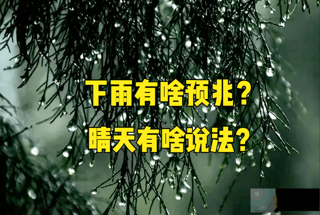 今日六月初一，当天下雨好还是晴天好？看看农村谚语就知道