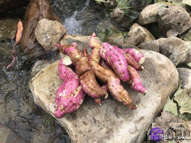 “雨打半年头，寡妇也发愁”，六月初一过小年，下雨打雷有啥预兆