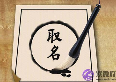 吴京大儿子叫“无所谓”，小儿子叫“无虑”：如何给孩子起名字？