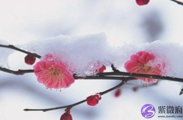 12个月份出生的子女，12个不同的命运，以下4月出生的天生上等命