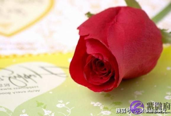 生肖鼠的人，你是白天出生还是晚上出生？出生时间决定了你的财富