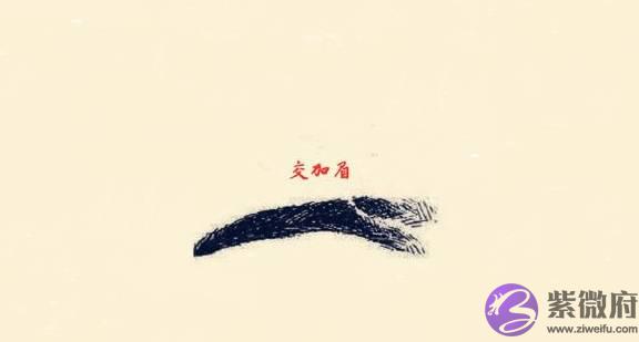 七种对人运势影响最大的“坏”眉相，容易走背运，一生奔波辛苦！