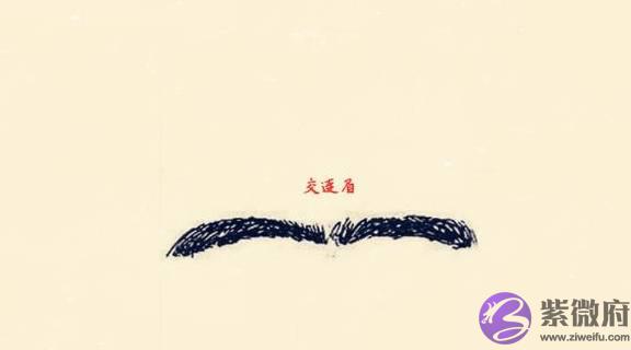 七种对人运势影响最大的“坏”眉相，容易走背运，一生奔波辛苦！