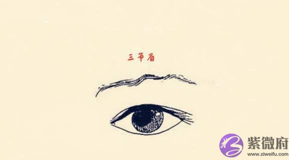 七种对人运势影响最大的“坏”眉相，容易走背运，一生奔波辛苦！