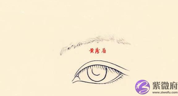 七种对人运势影响最大的“坏”眉相，容易走背运，一生奔波辛苦！