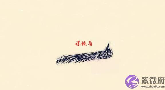 七种对人运势影响最大的“坏”眉相，容易走背运，一生奔波辛苦！