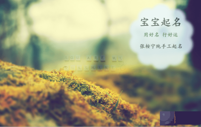 男宝宝起名大全 刚出生的男婴儿取名字