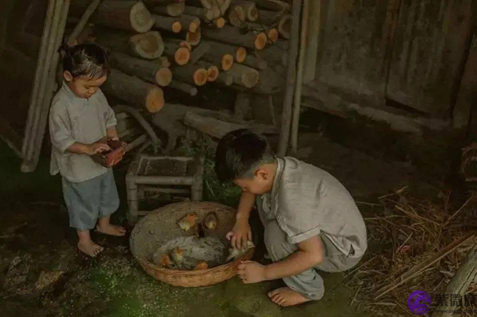 兄弟姐妹不和睦，其实就是一场灾难！