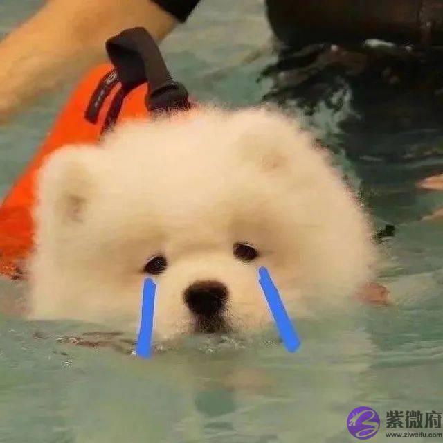 新生儿爆款名字出炉！这个字，霸榜多年！排第一的竟是……想给宝宝取独一无二的名字要避开它们啦
