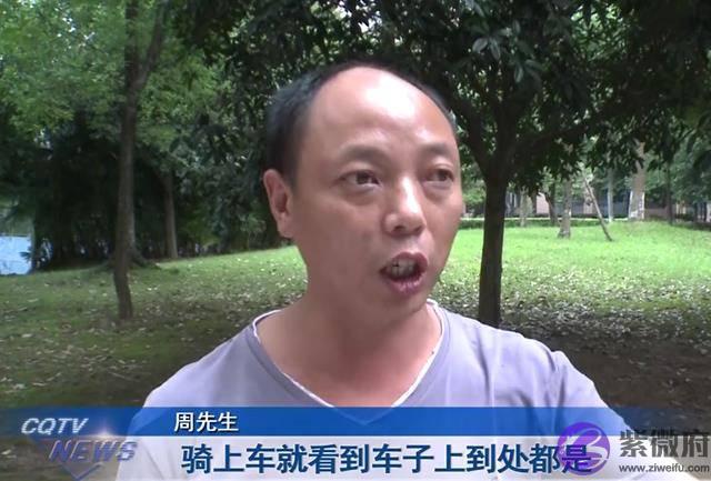 气愤！一觉醒来，10几辆摩托车竟被人喷上字，车主：“抠不掉”！