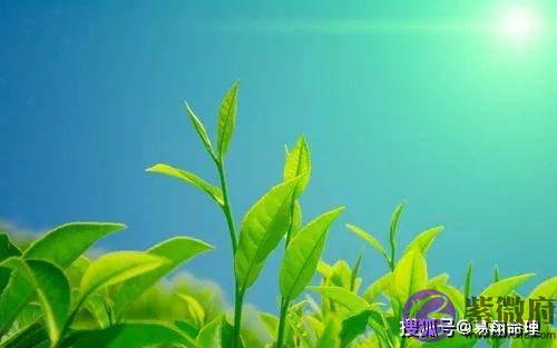 易翔老师谈：什麽生辰的人天生运气好