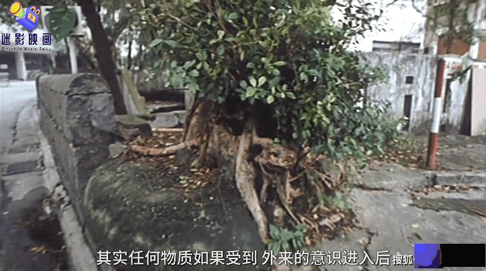 30年前的邪典片，香港狐仙索命传说，真人真事改编，至今被低估！