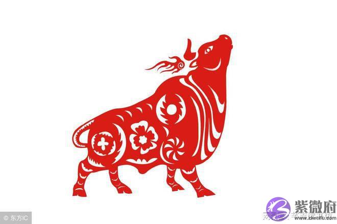 十二生肖出生在哪些时辰最容易发财？一生衣食无忧！