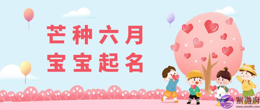 2022年芒种月宝宝取名宜忌