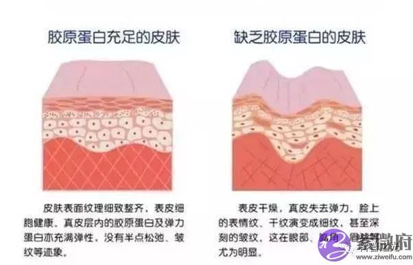 女人长法令纹显老! 教你正确淡化法令纹, 肌肤紧致细腻