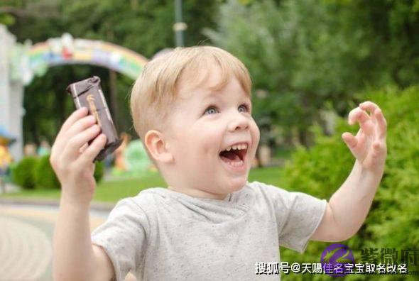 虎年五行木火的男孩取名改名：霸气的男宝宝名字推荐
